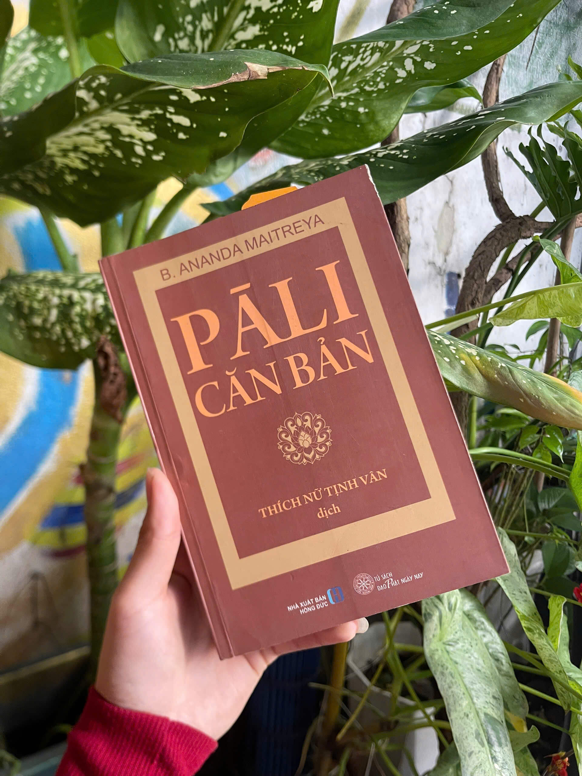 Pāli Căn Bản