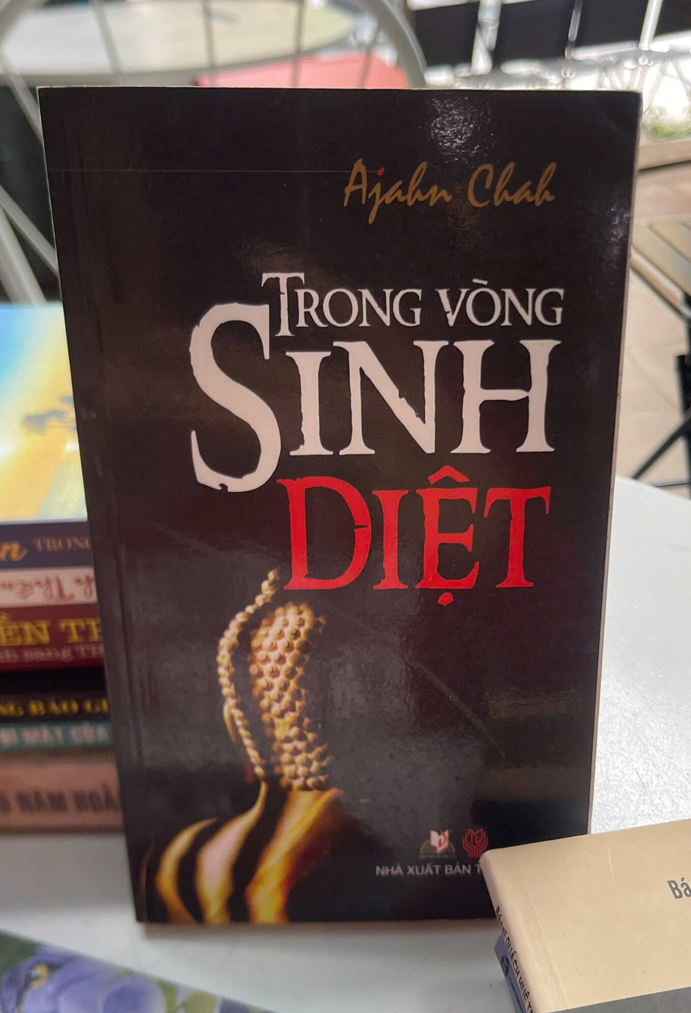 Trong Vòng Sinh Diệt